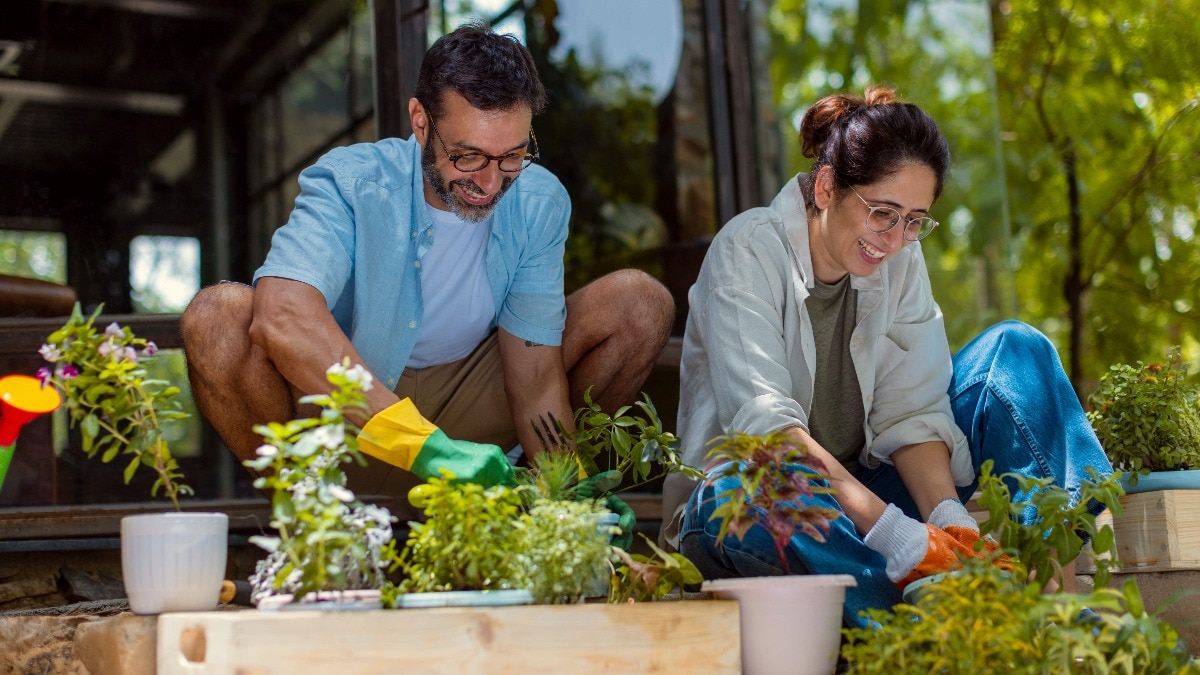 Harper's Bazaar India