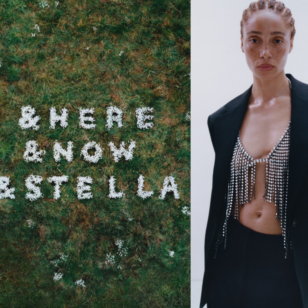 H&M goes back to where it began with a Stella McCartney fashion collaboration