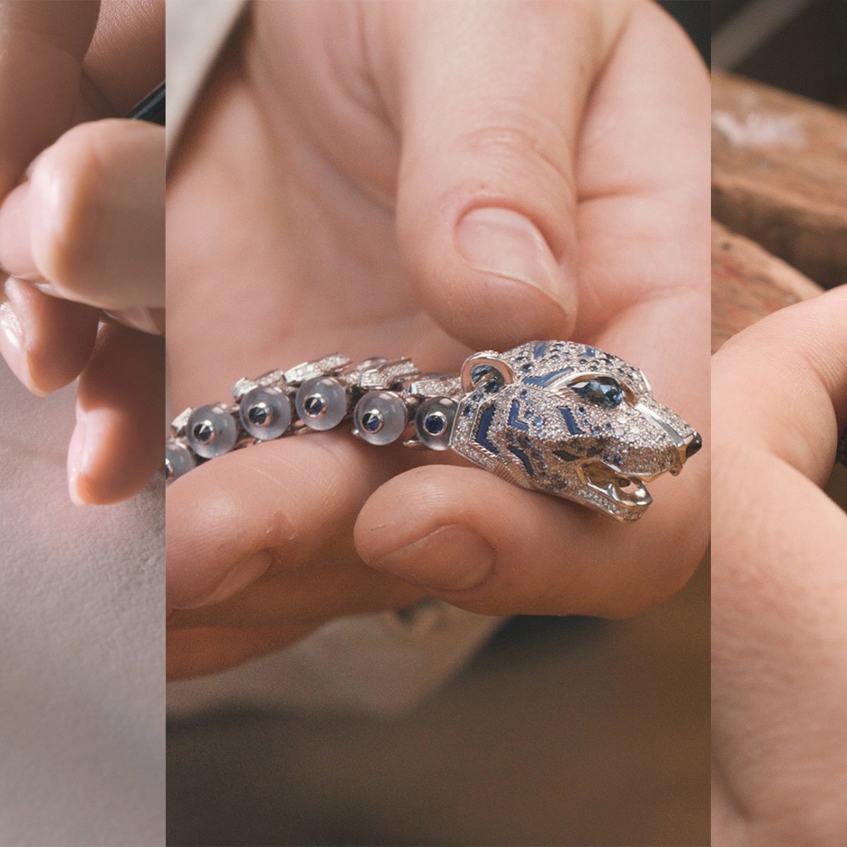 Cartier goes Into The Wild