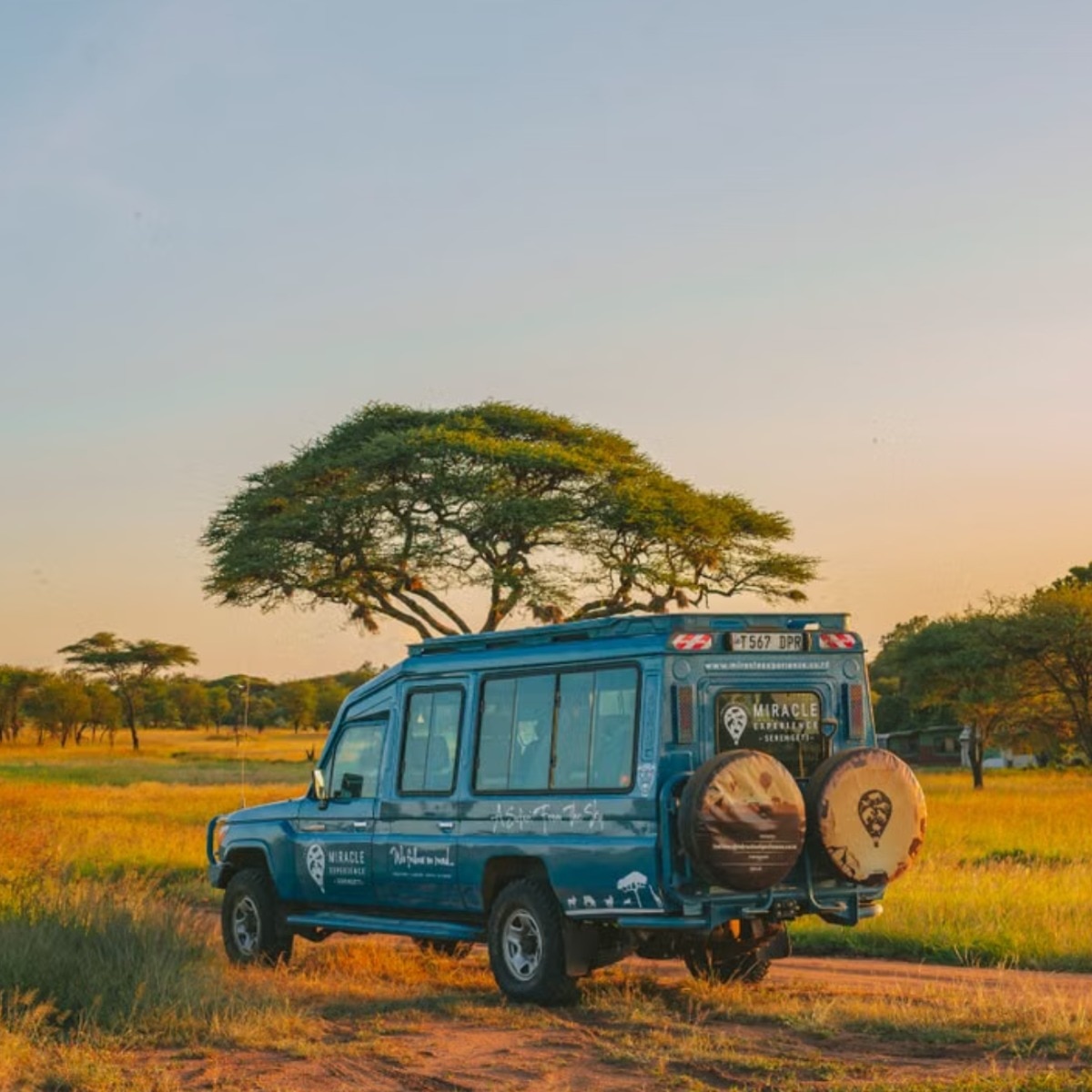 The essence of a luxury safari lies in nature making all the rules