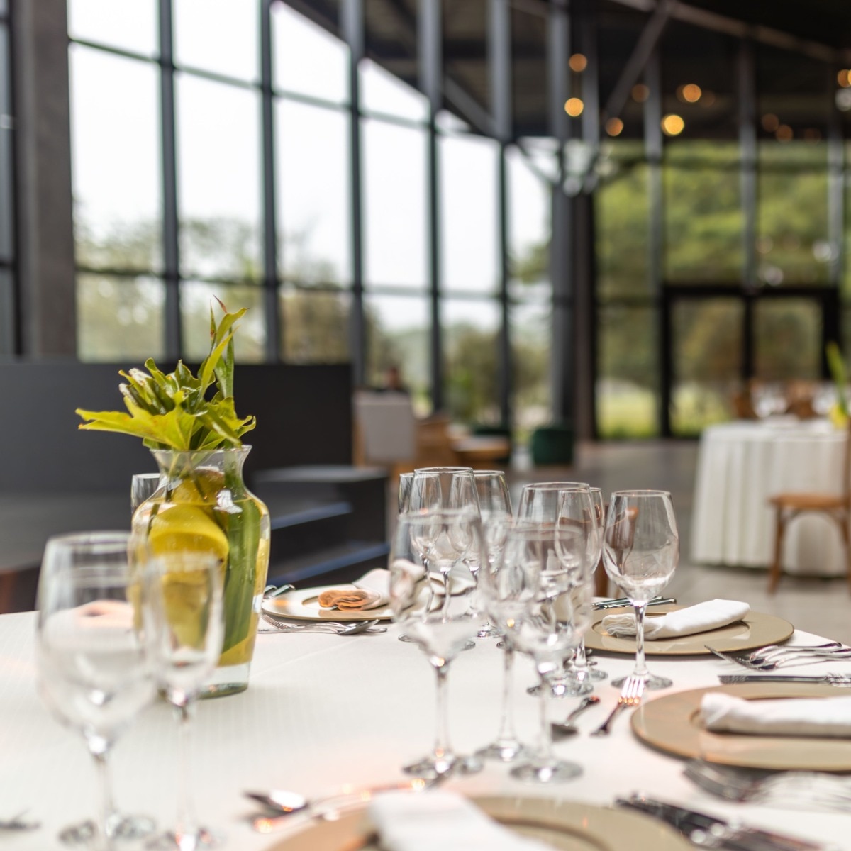 Where India eats now: The tables shaping a new dining culture