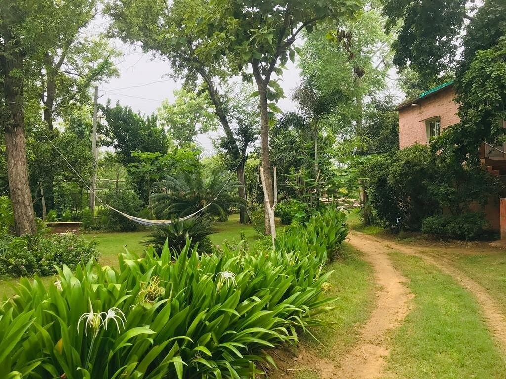 Satya Jyoti Farm House- Aravalli Satya Jyoti Farm House- Aravalli