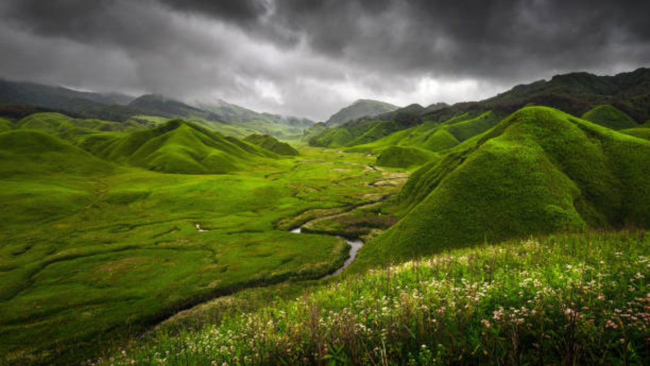 Dzukou Valley Nagaland