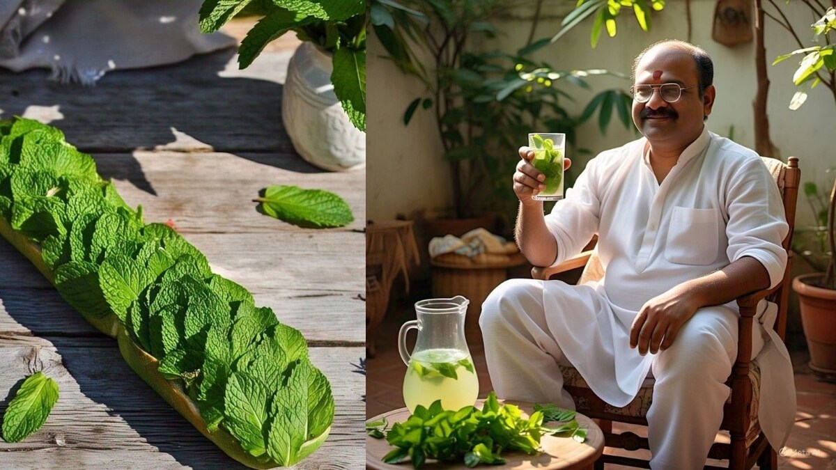 पुदीने का शरबत पुदीने का शरबत