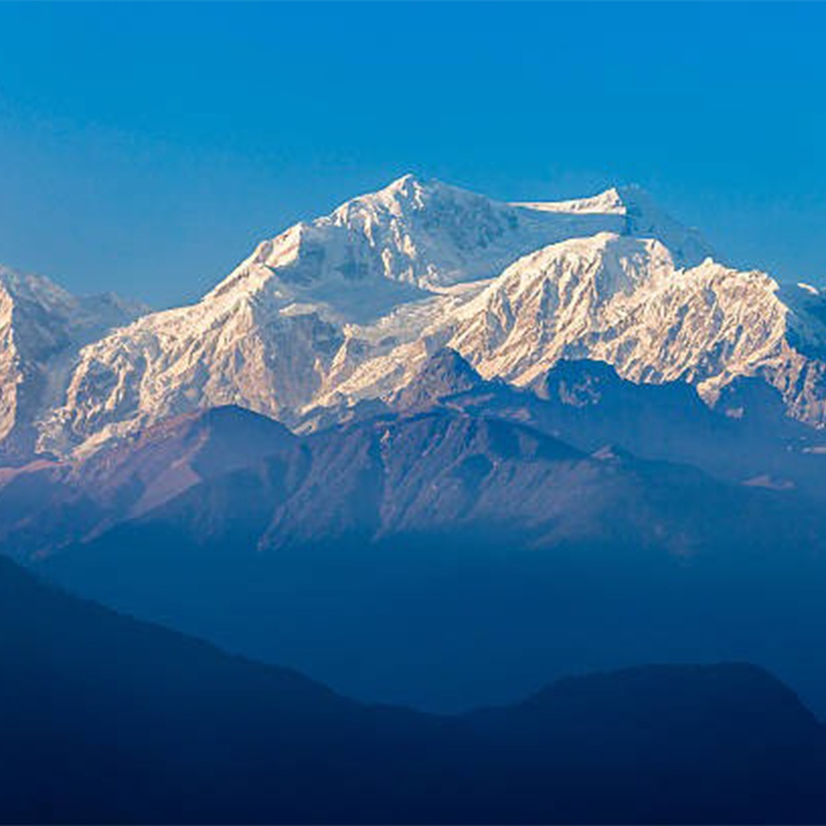 কাঞ্চনজঙ্ঘা 