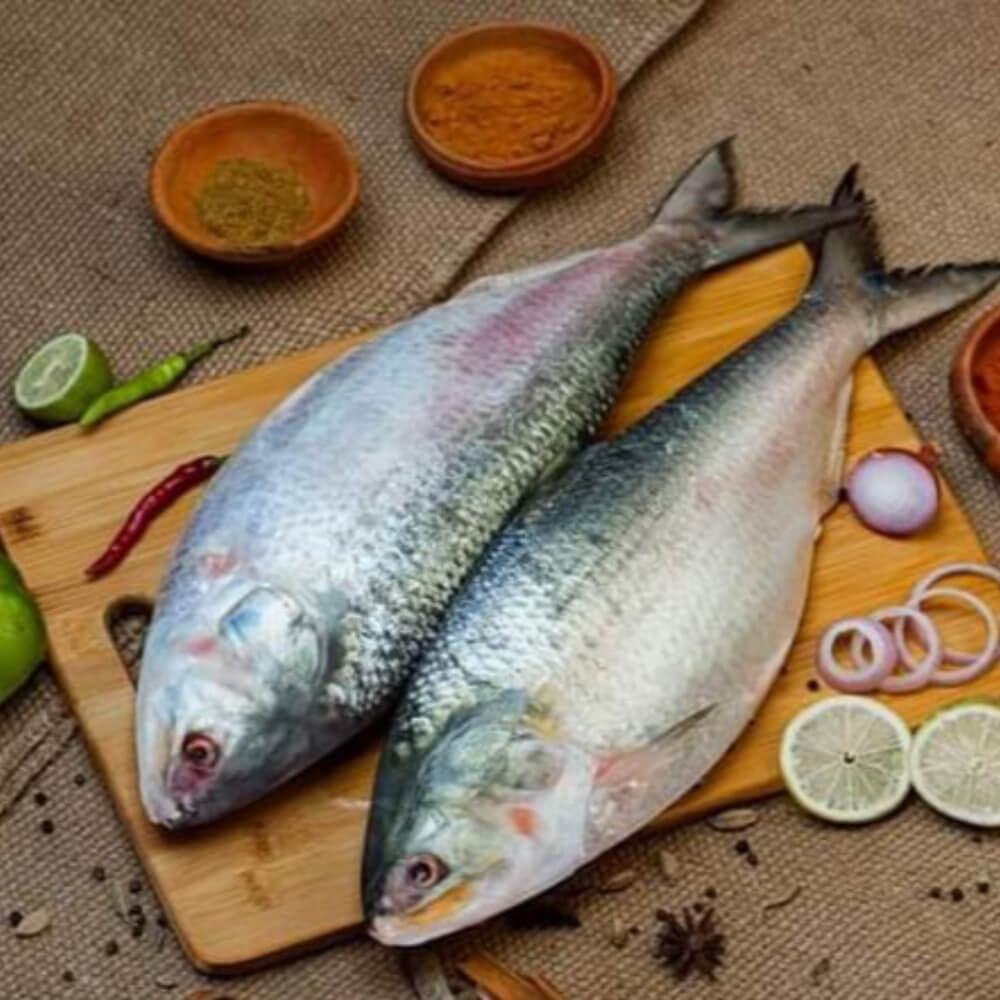 সুস্বাদু ইলিশ