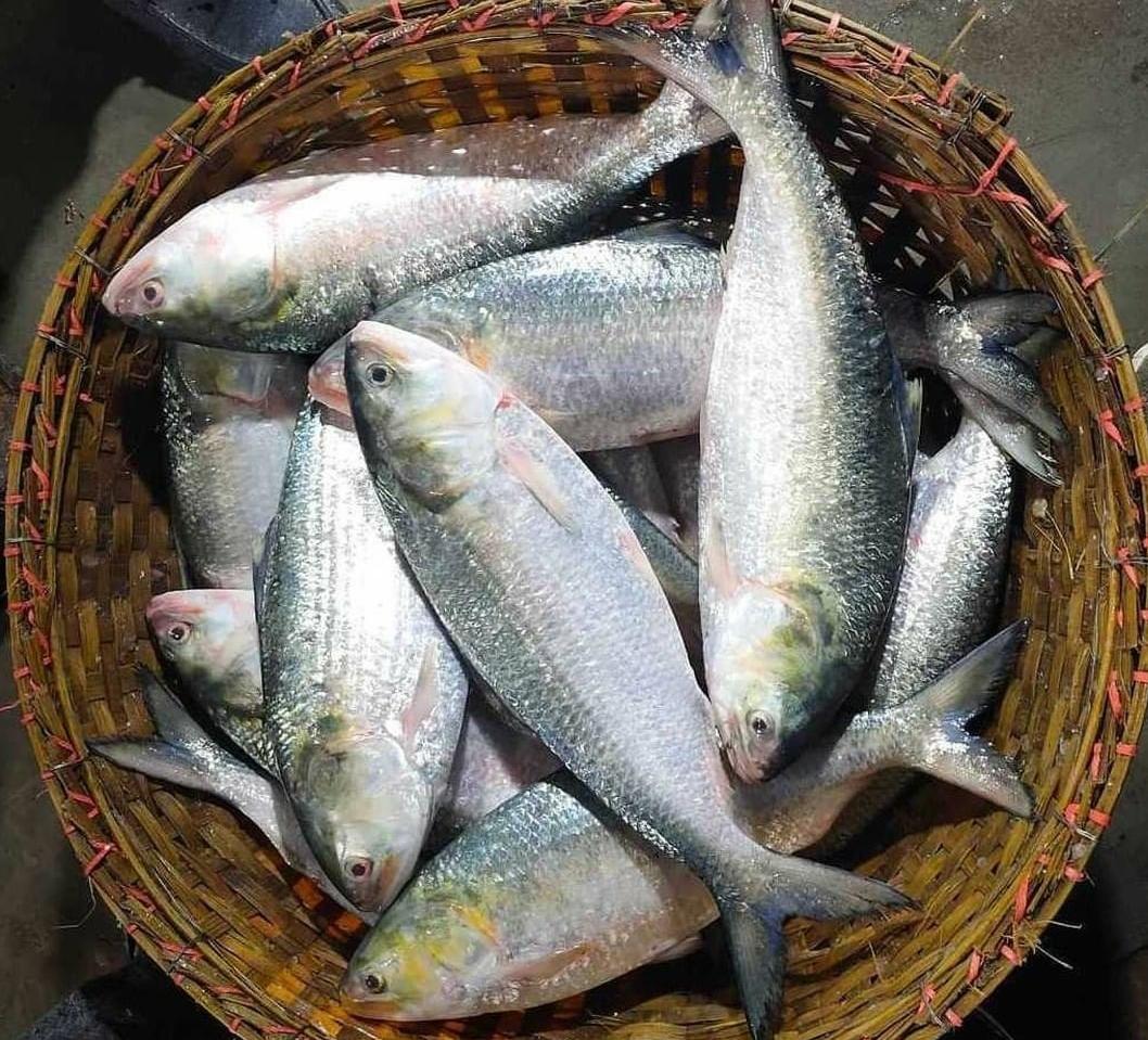 রফতানি বন্ধ