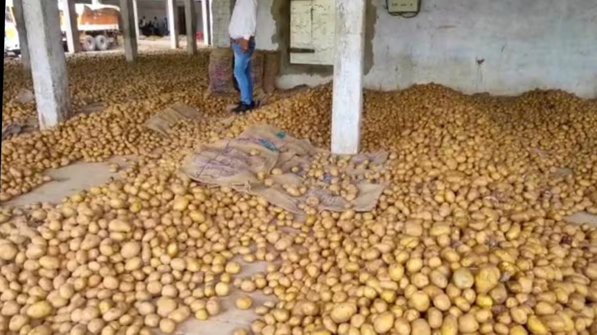 এক মাস আলু না খেলে শরীরে এসব পরিবর্তন হবে, জানলে অবাক হবেন