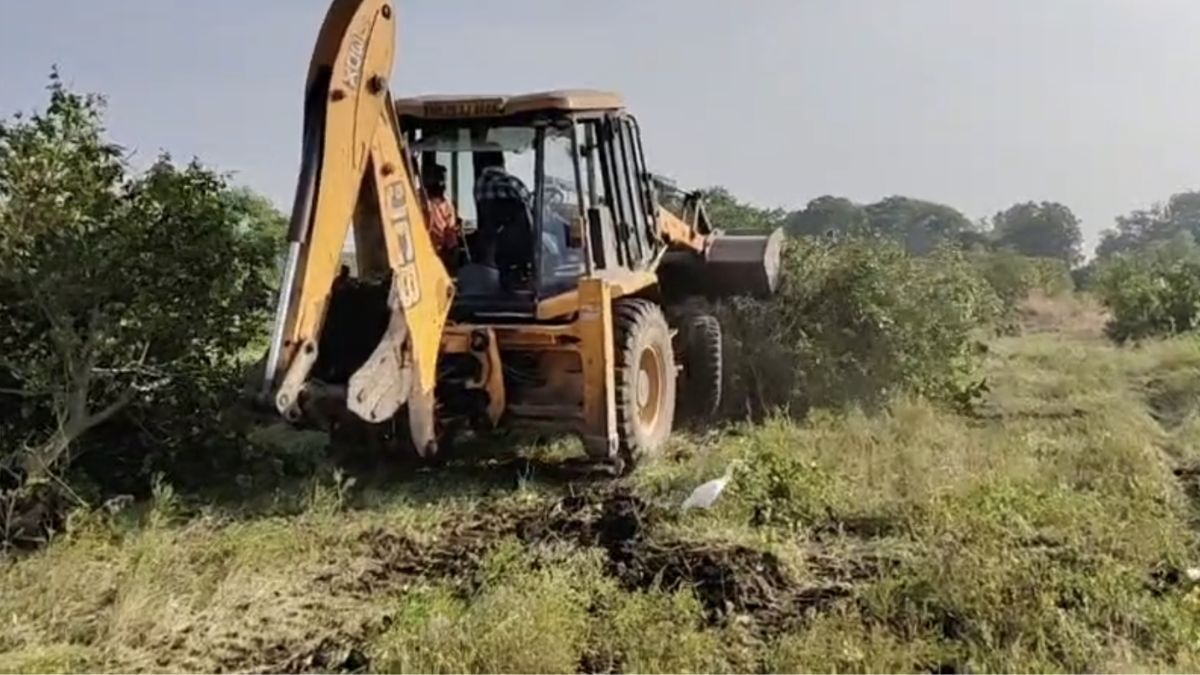 बीमारी और फलझड़ ने भी बढ़ाई परेशानी