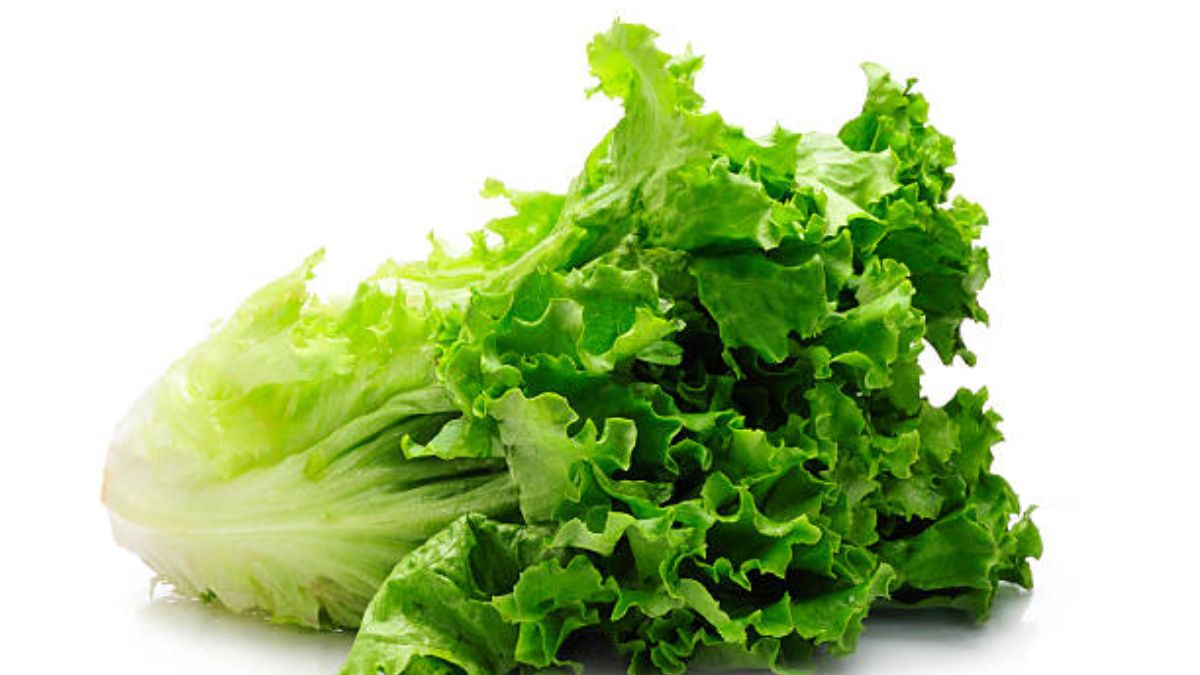 मिट्टी और गमले की तैयारी