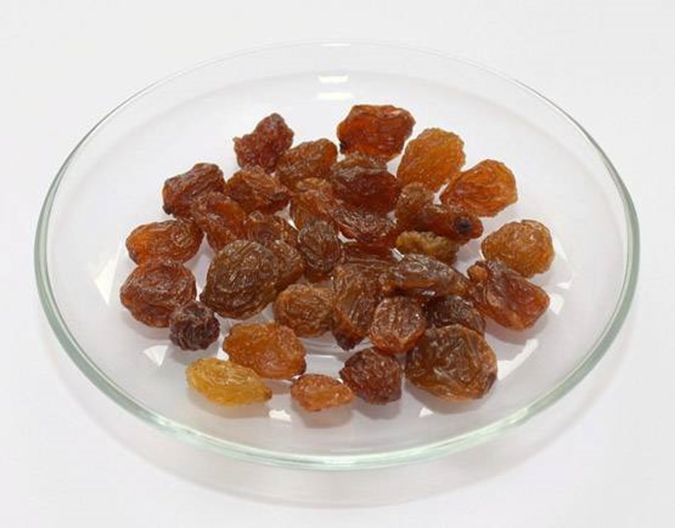 raisins in winter