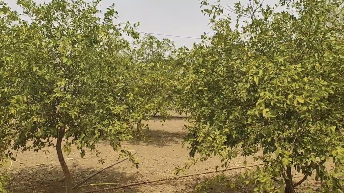 किसानों ने सरकार से मांगी मदद