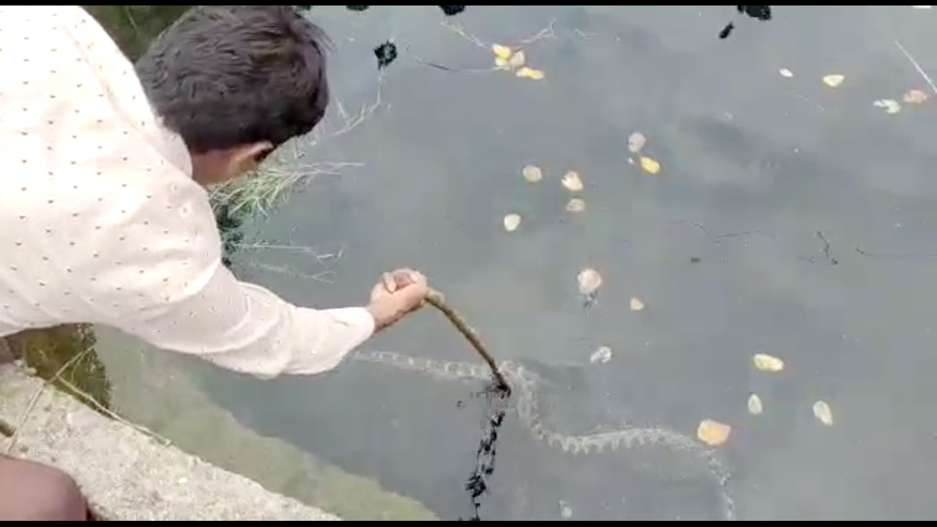 इंजीनियरिंग की नौकरी छोड़ तालाबों की देखरेख में जुटा शख्स