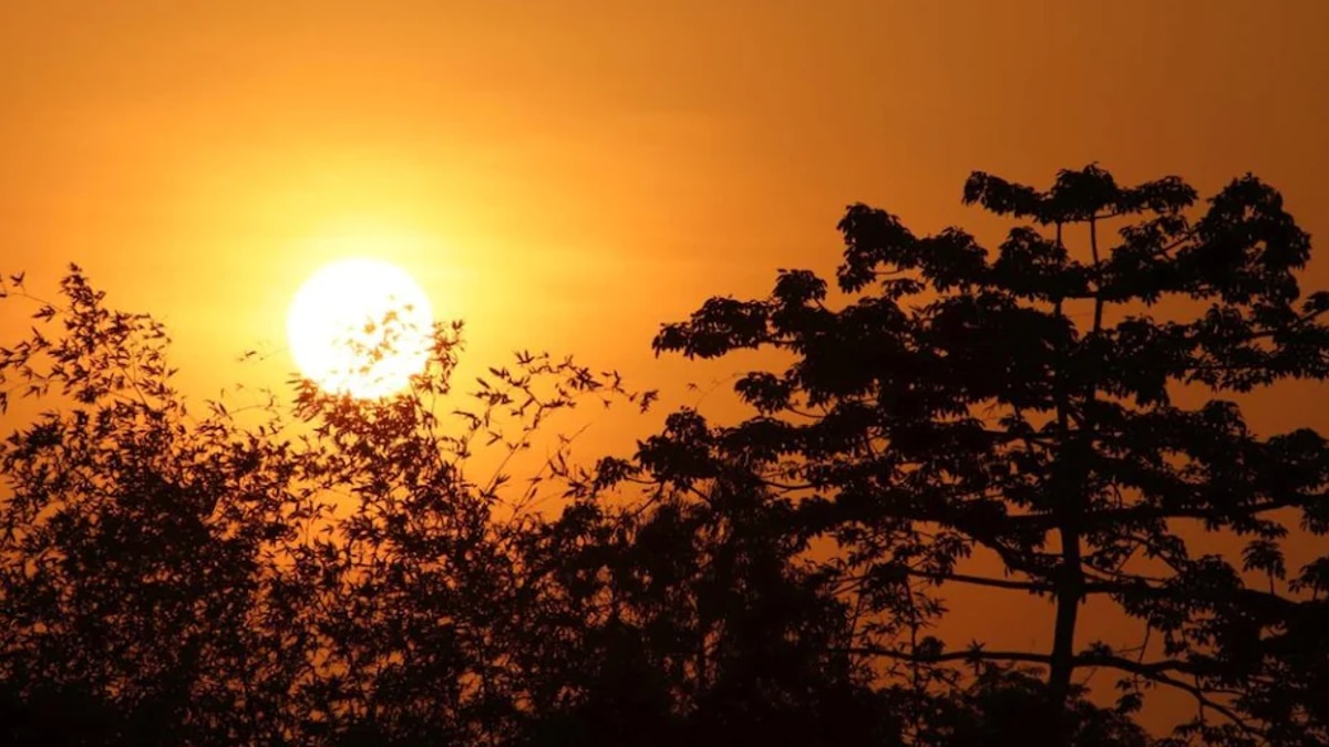 আবহাওয়ার খবর (Weather News)