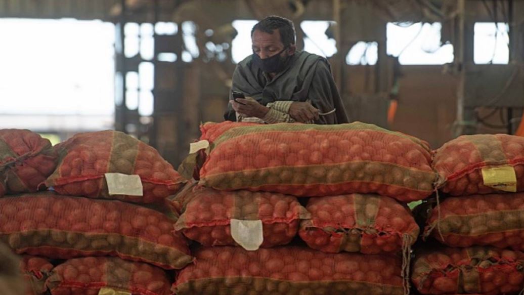 Aajker Bazar Dar: বাজারদর আগুন! জেনে নিন লক্ষ্মীপুজোর আগে সবজি-মাছ-মাংসের দাম