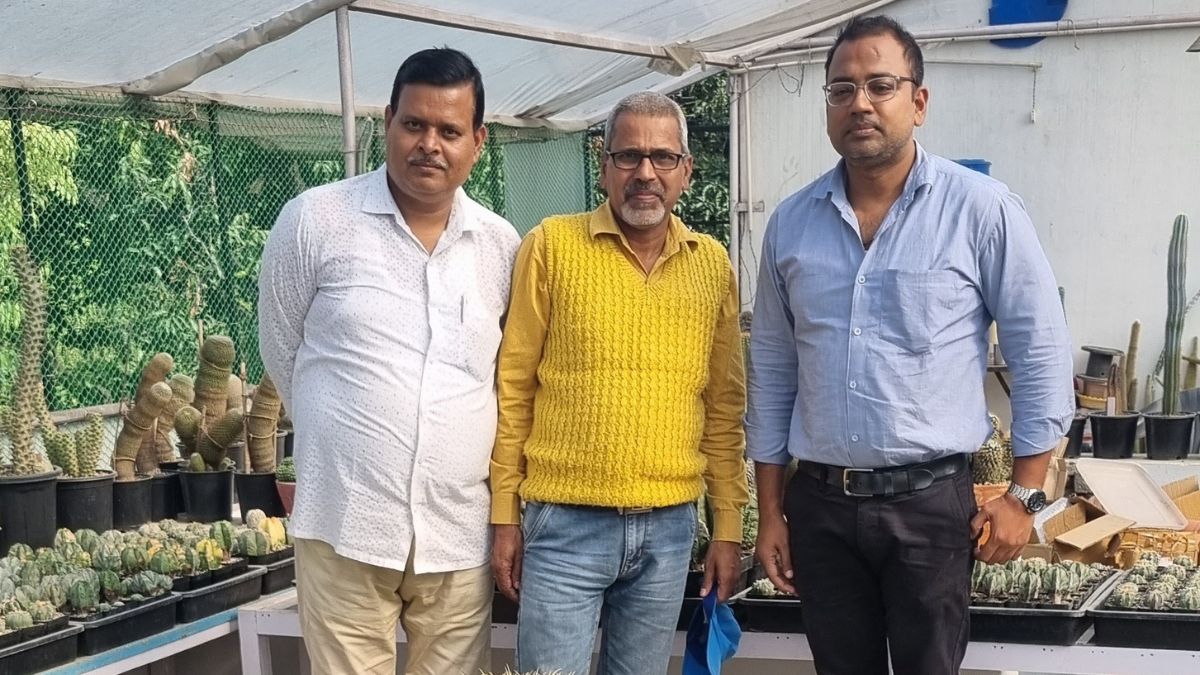 Cactus gardener in pilibhit