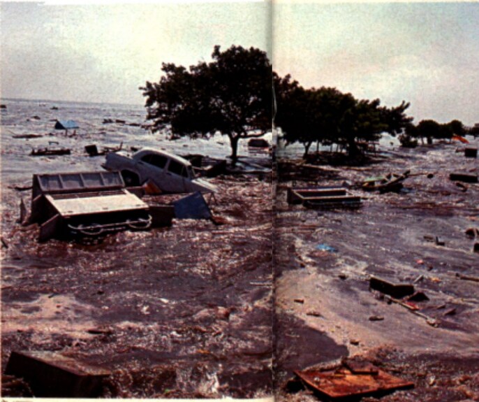 सूनामी को लेकर प्री-प्लानिंग जरूरी  सूनामी को लेकर प्री-प्लानिंग जरूरी