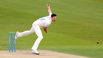 Steven Finn Steven Finn