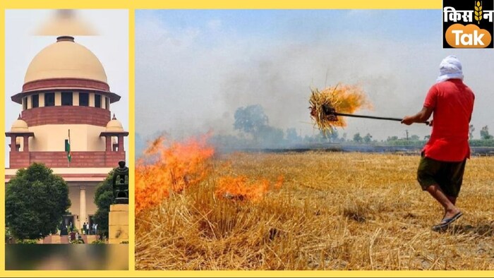 stubble burning case