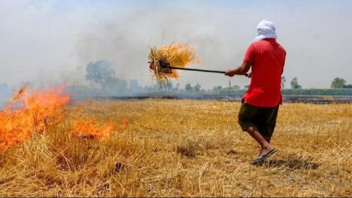 problem of stubble burning