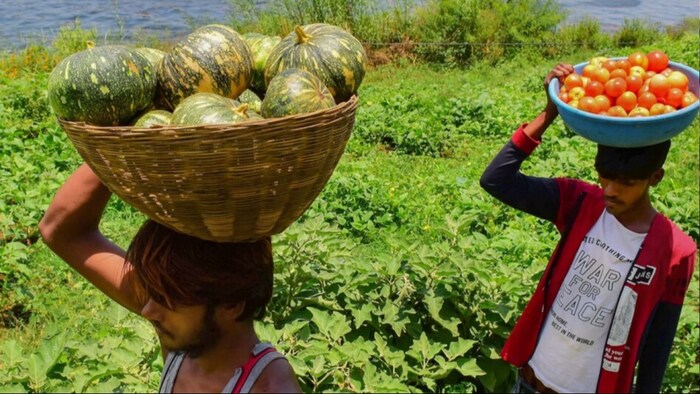 fruits and vegetables export