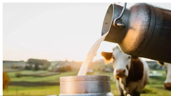 National Milk Day 2023