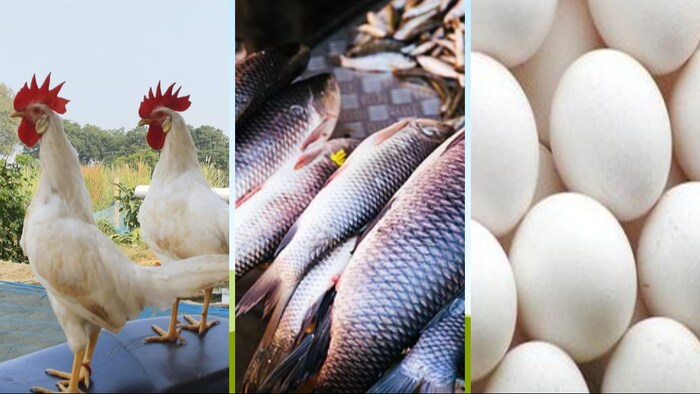 इस परंपरा का पालन हिंदू और मुसलमान दोनों ही समुदाय के लोग करते आ रहे है. (फोटो- किसान तक)