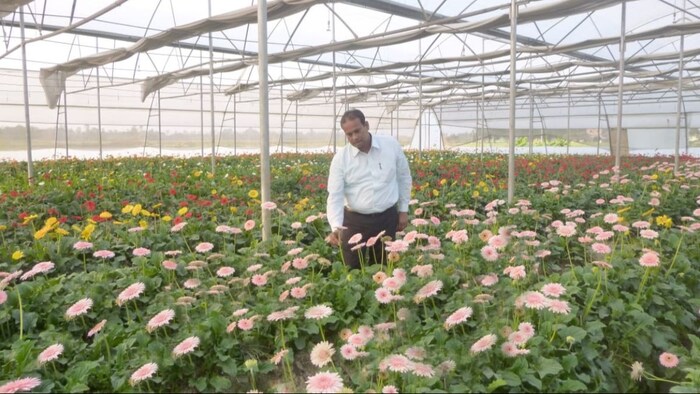 वकील मोइनुद्दीन फूलो की खेती से कर रहे हैं लाखों की कमाई