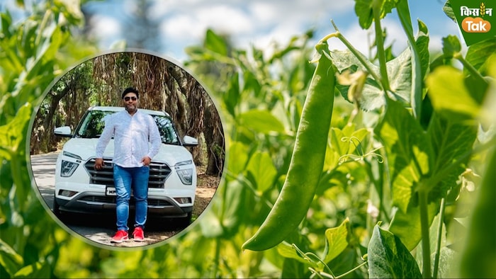 जर्मनी की नौकरी छोड़कर भारत में उगाई मटर (फोटो- किसान तक)
