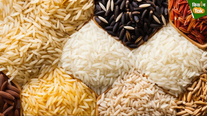 rice export ban