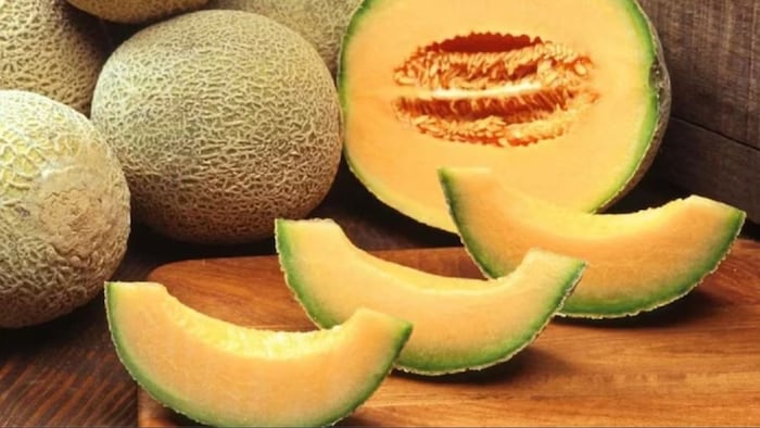 Melon Varieties