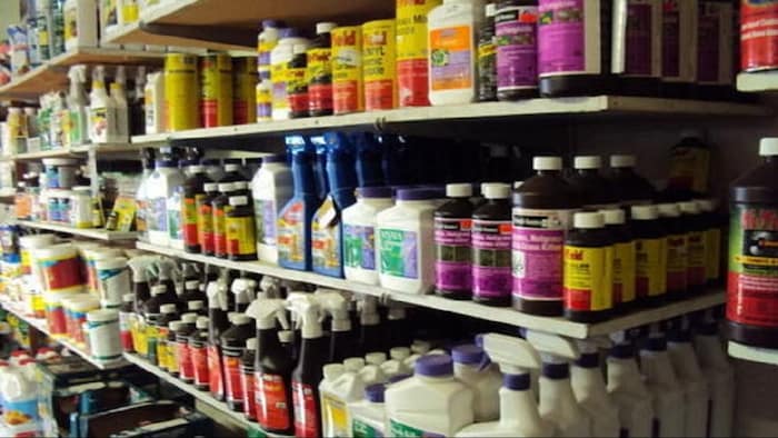 खाद-बीज लाइसेंस की इतनी है फीस