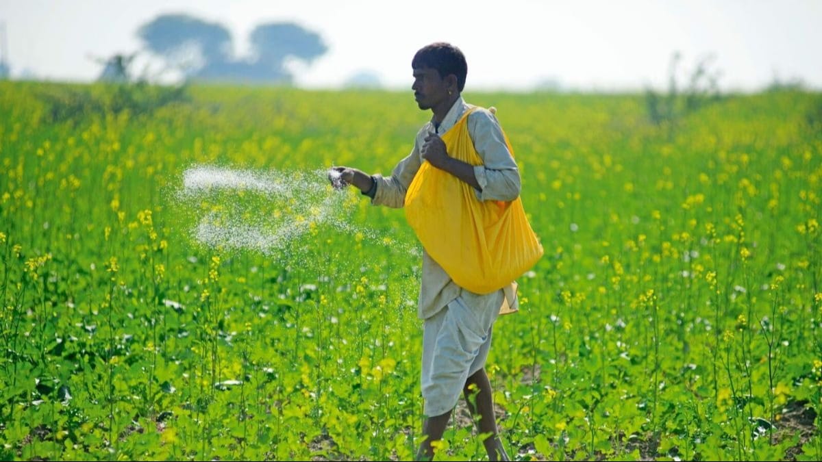 7 महीने में खाद सब्सिडी का 70 फीसदी बजट खर्च, पहले नंबर पर है यूरिया - fertilizer subsidy 70 percent budget expenditure in 7 months urea is at number one -