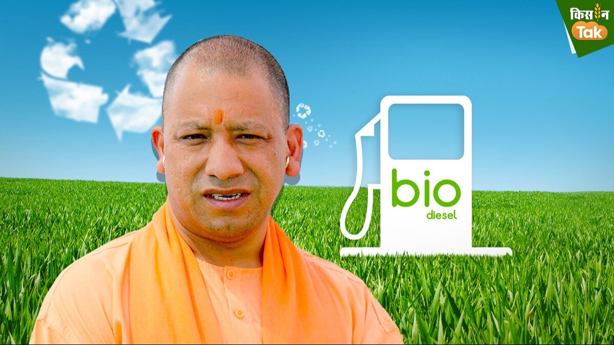 UP News: योगी सरकार 'Biodiesel' के उपयोग को देगी बढ़ावा, कई खूबियों से लैस होगा पोर्टल, पढ़ें डिटेल