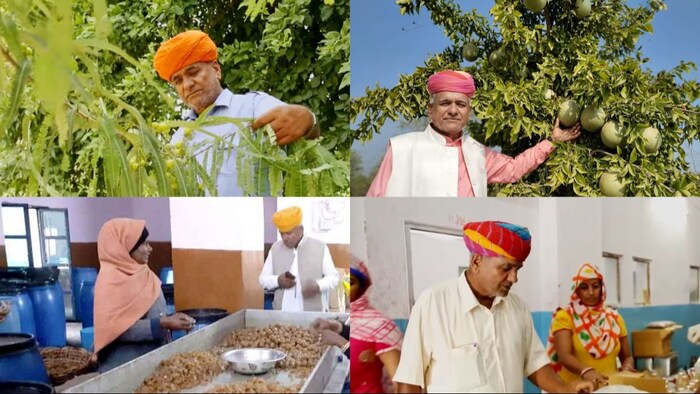 फल बागवानी से करोड़ों का करोबार है करते है कैलाश चौधरी