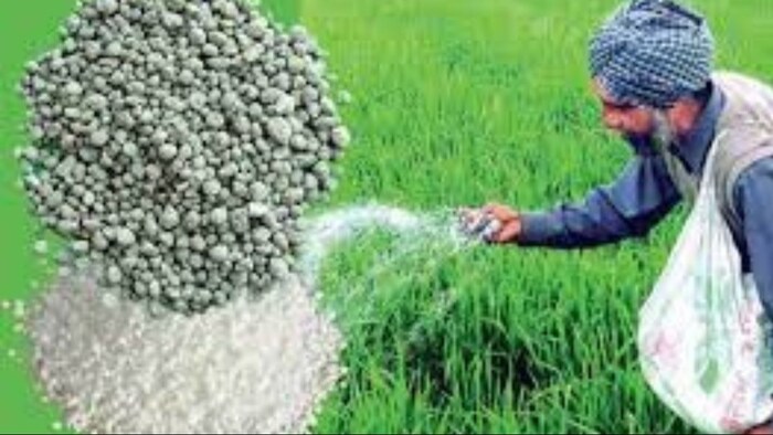 क्या डीएपी की कीमत में हो सकती है बढ़ोतरी. (सांकेतिक फोटो)