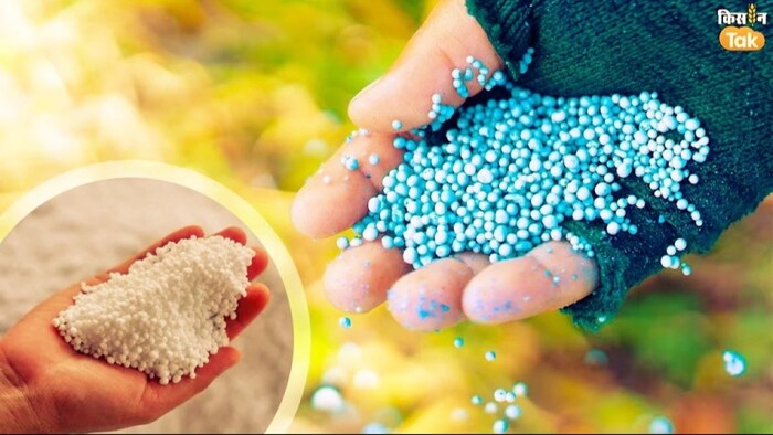 Fertiliser subsidy
