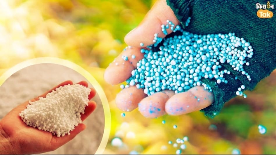 Fertilizer Price: सरकार बढ़ा सकती है खाद पर सब्सिडी, कीमतों में उछाल के बाद एनबीएस सब्सिडी रिव्यू की संभावना Fertilizer Price: सरकार बढ़ा सकती है खाद पर सब्सिडी, कीमतों में उछाल के बाद एनबीएस सब्सिडी रिव्यू की संभावना