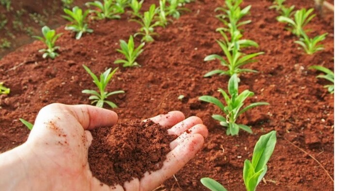 अंबाला के किसानों को मिले सॉइल हेल्थ पत्र