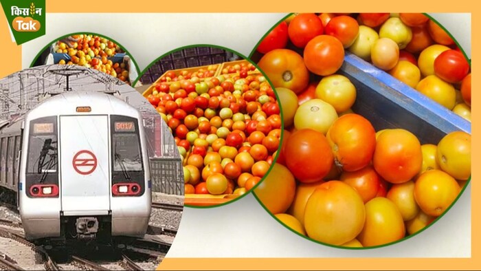 NCCF Stores at Delhi Metro