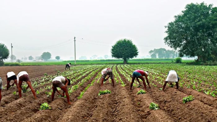 अब घर बैठे या कहीं से करें एग्री इंफ्रा फंड के लिए आवेदन