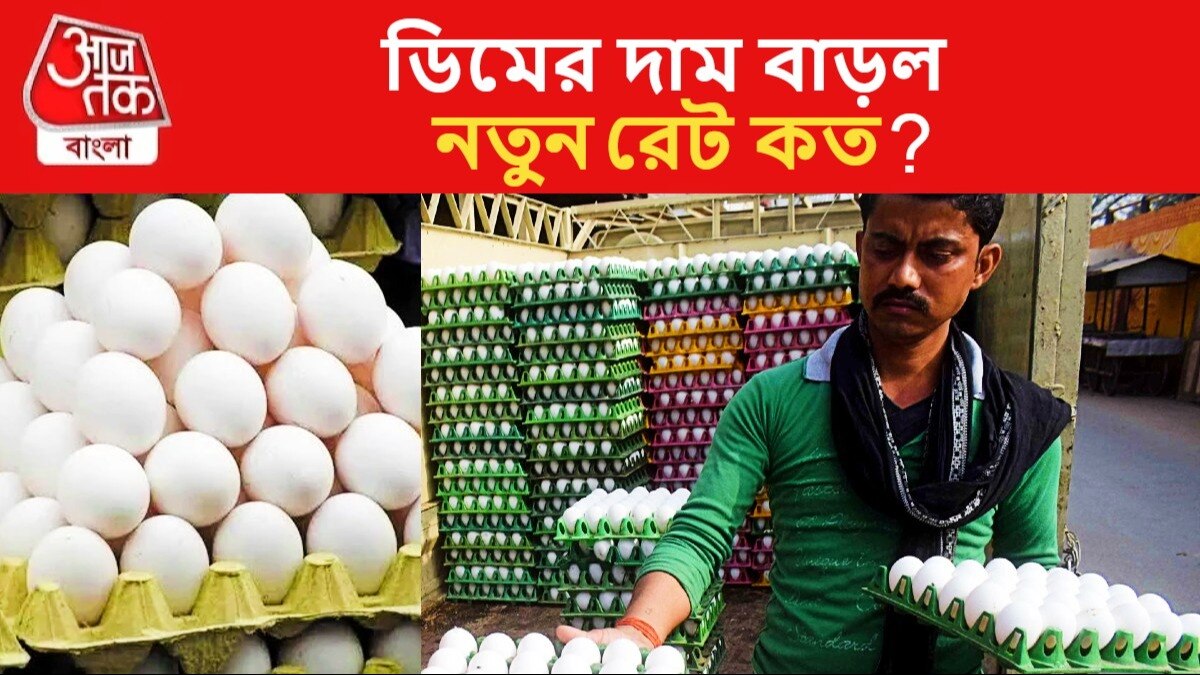 Egg Price Increase মধ্যবিত্তের ঘুম উড়িয়ে বাড়ল ডিমের দাম! কলকাতায় প্রতি পিস কত? egg price