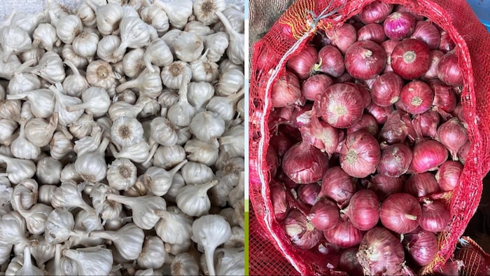 यूपी में लहसुन के भाव आसमान छूते नजर आ रहे हैं. जबकि प्याज का रेट भी कम नहीं (Photo- Kisan Tak)