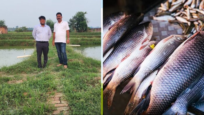 यूपी के इस युवा किसान ने इस खास तरीके से शुरू किया मछली पालन (Photo- Kisan Tak)