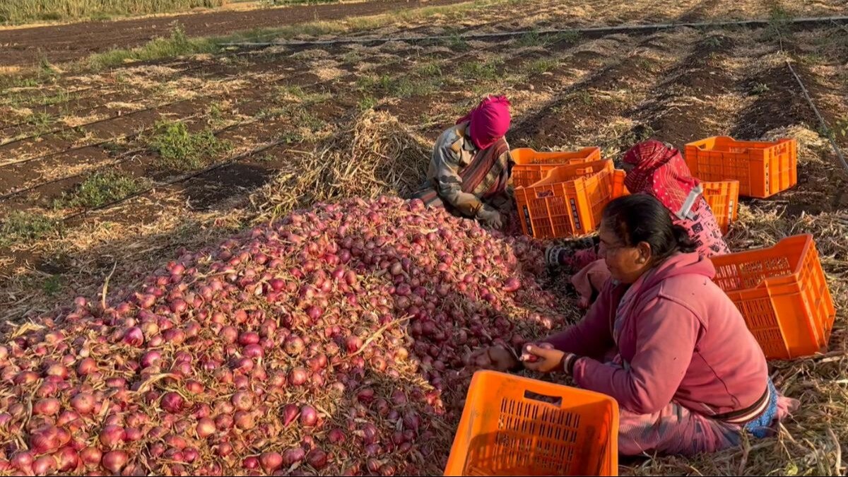 onion export ban