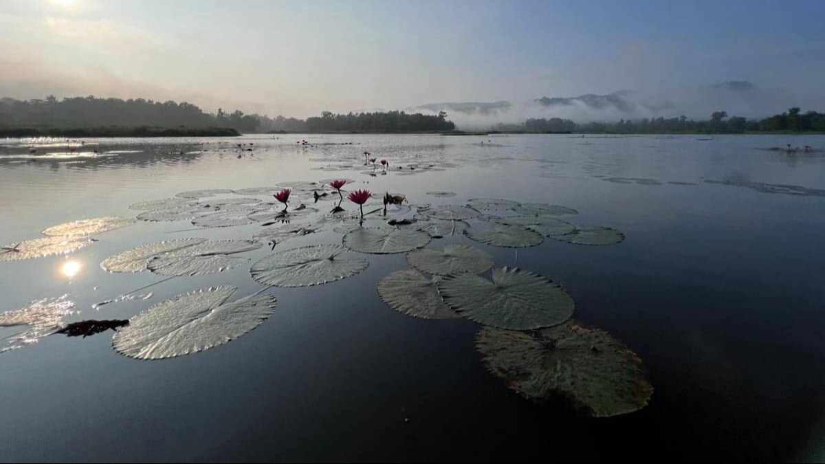 How Guwahati's Chandubi Lake is a Tourism Gem in Assam How Guwahati's Chandubi Lake
