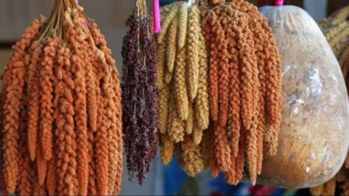 दिल्ली में लगने जा रहा इस साल का सबसे बड़ा मिलेट मेला