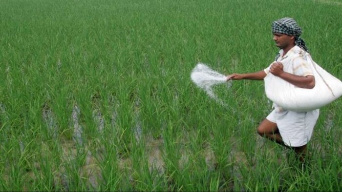 Fertilizer Subsidy