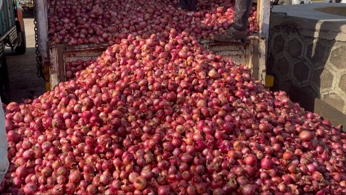 Farmers worried after onion export ban
