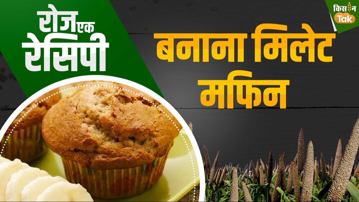 Millet Recipe इस क्रिसमस घर पर बनाएं मिलेट मफिन, FSSAI ने बताई रेसिपी